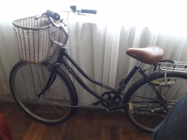 Bicicleta de paseo