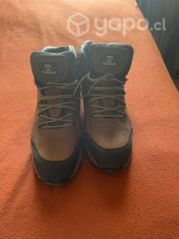Zapatos tarsus