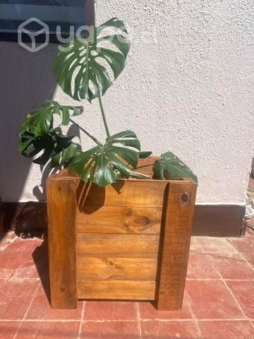 Maceteros de Madera
