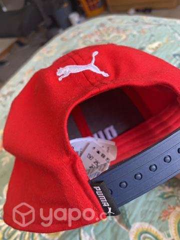 Gorro puma - Imagen 2