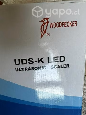 Scaler Woodpecker