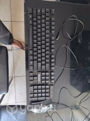 teclado rgb y remid 9a