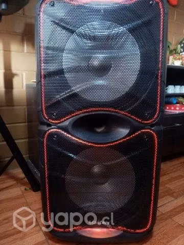 parlante KARAOKE MASTER G - Imagen 2