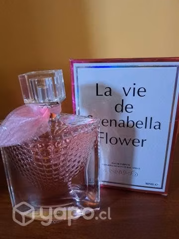 Lote de mujer - Imagen 4