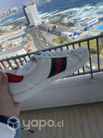Zapatillas Gucci originales - Imagen 5