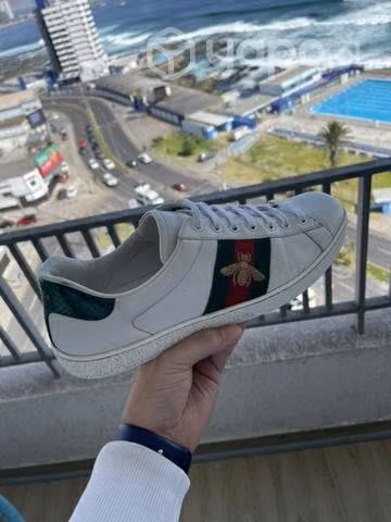 Zapatillas Gucci originales