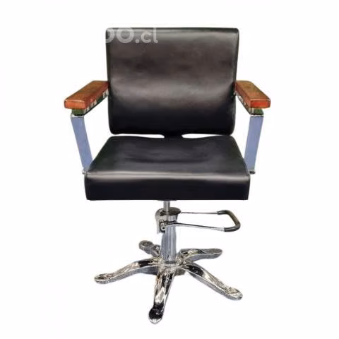 Silla de peluqueria