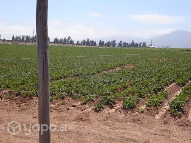 hectareas la serena