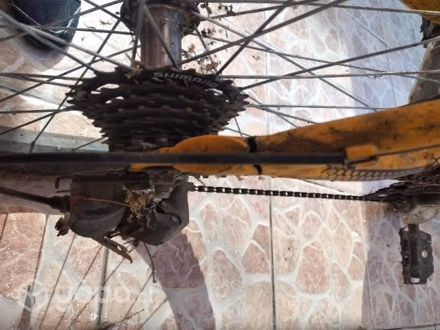 Bicicleta montenbaik