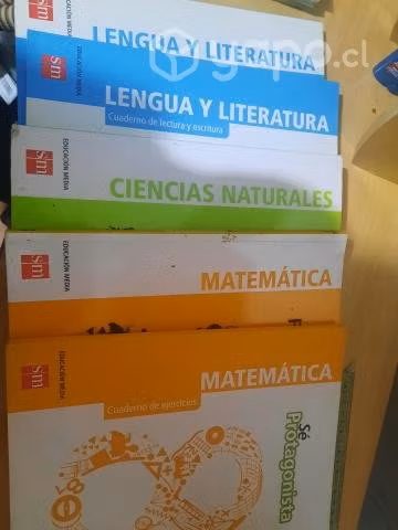 Libros 8 básico proyecto Ser protagonista