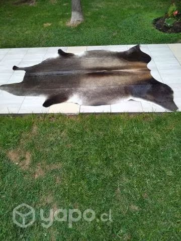 Preciosa alfombraa finiia cuero de vacuno, importa