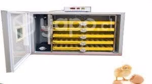 Incubadora 300 huevos Full Automatica