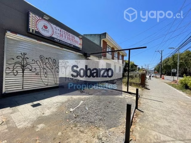 SITIO Plaza acevedo - Centro de Concepción …