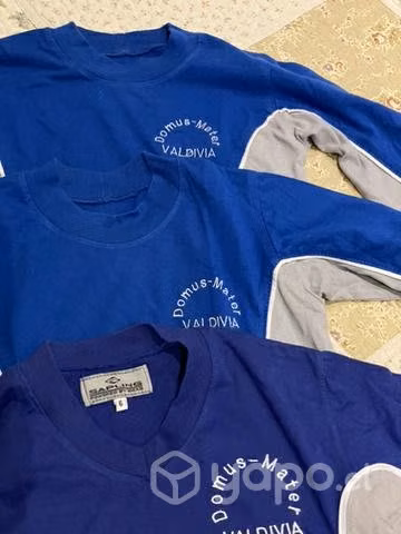 Poleras Domus Mater Valdivia - Imagen 2
