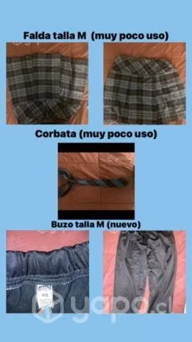 Uniforme liceo Insuco