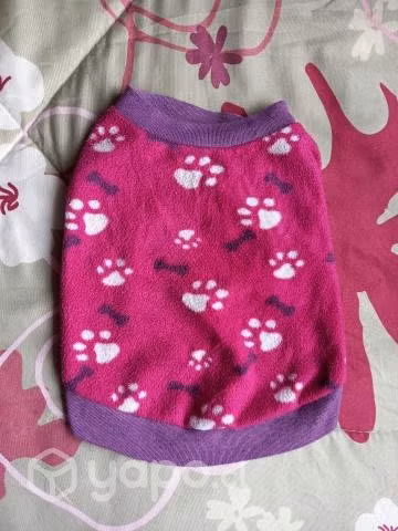 Ropita para mascota