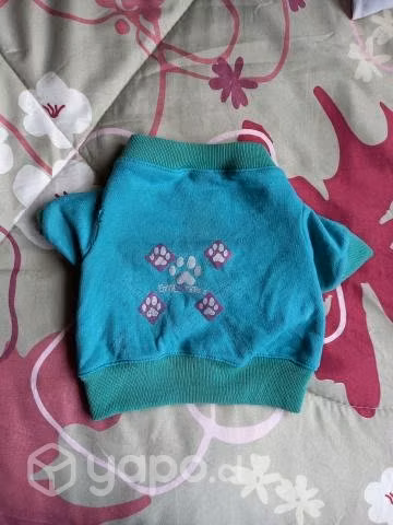 Ropita para mascota