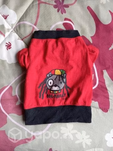 Ropita para mascota