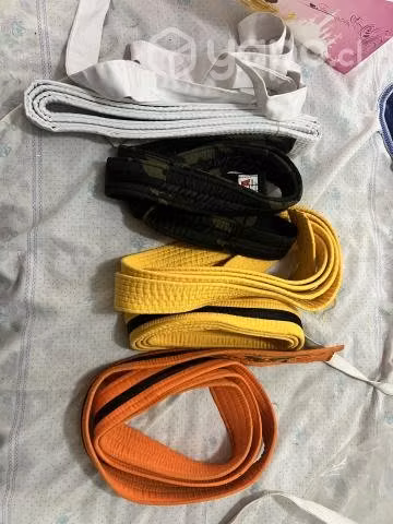 Taekwondo