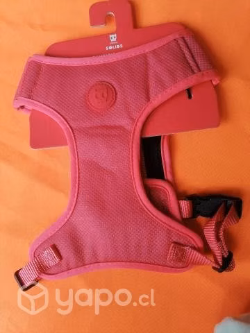 Arnés de perro