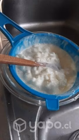 Permuto porcion kefir ( pajaritos )