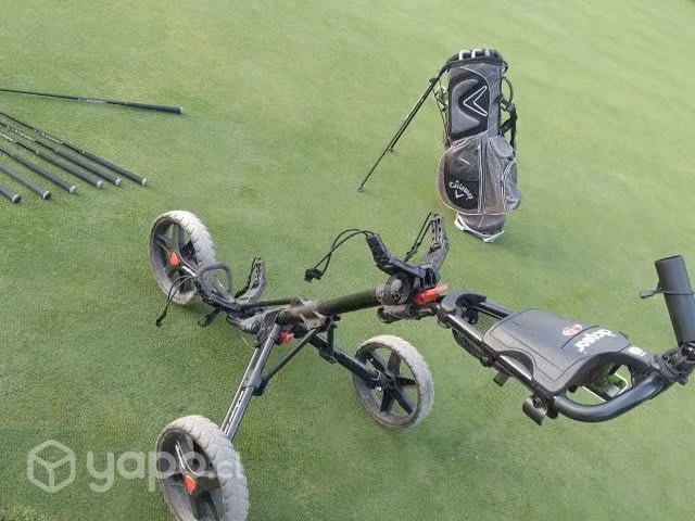 Juego completo más carro y bolso de golf