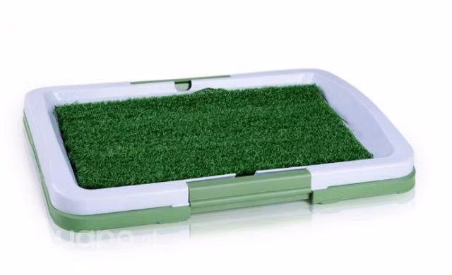 Baño Ecológico Sanitario Reutilizable Perros