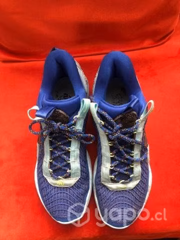 Zapatillas de basket Nike Cosmic
