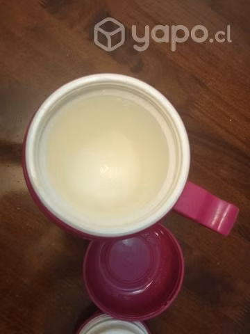 Termo de comida