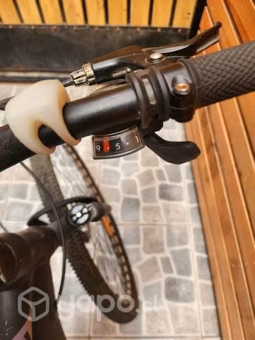 Bicicleta aro 29 - Imagen 3