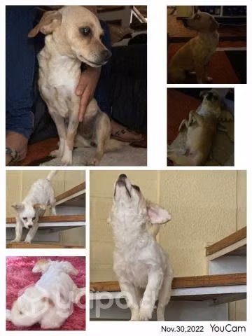 Adopción mamá e hija pequeñas