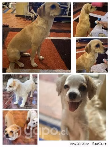 Adopción mamá e hija pequeñas