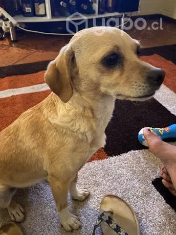 Adopción mamá e hija pequeñas