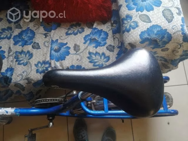Bicicleta cic