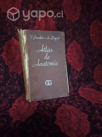 Atlas de Anatomía (bolsillo)