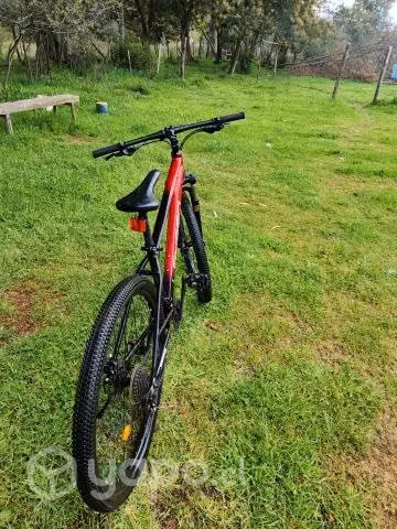 Bicicleta Lahsen