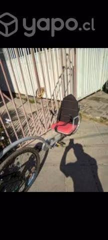 Carrito de paseo para bicicleta - Imagen 2