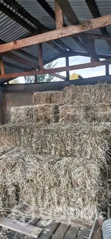 Fardos de alfala