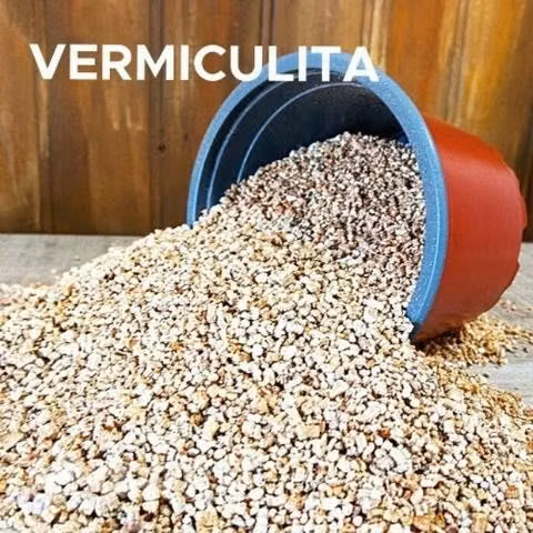 Vermiculita