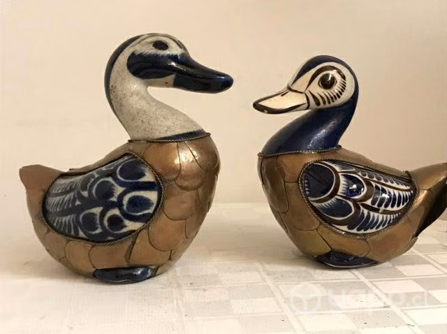 Par de pato Mexicanos