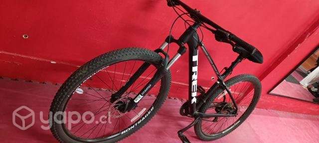 Marlin 5 2019 - Imagen 2