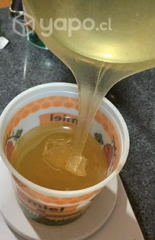 Miel de abeja por kilo