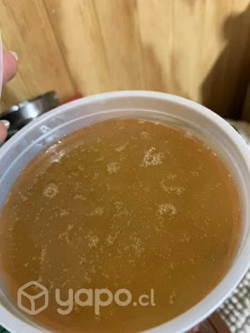 Miel de abeja por kilo