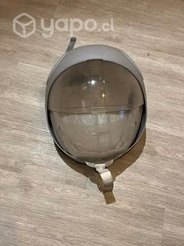 Huevo de transporte gato