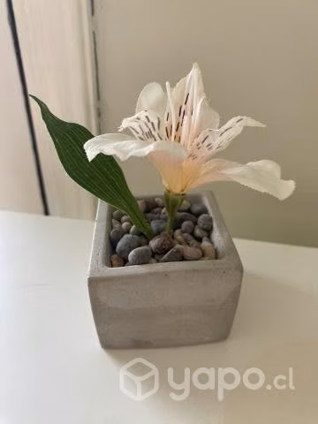 Macetero cemento
