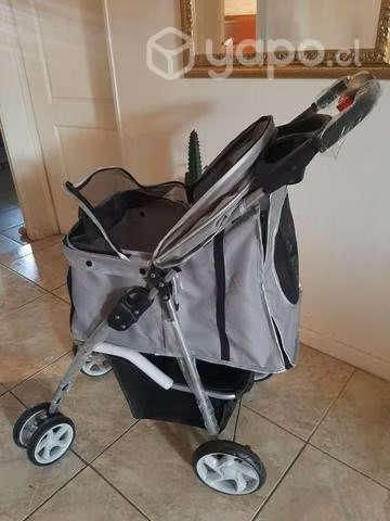 Coche para perro
