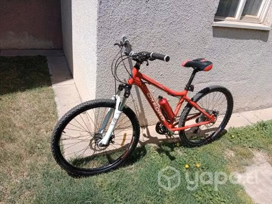 Oxford Moonstone aro 26