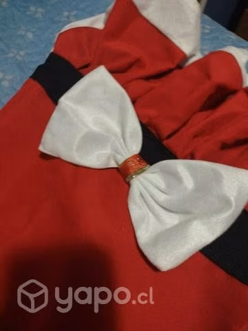 Vestido pascuera perro