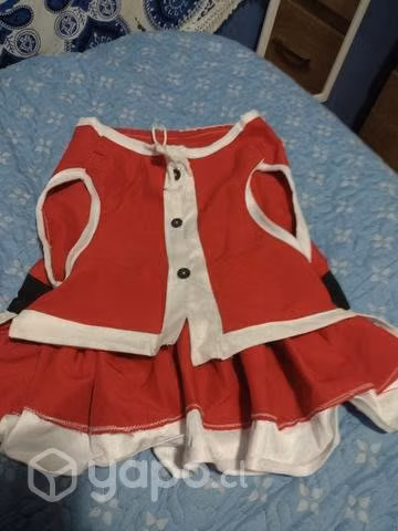 Vestido pascuera perro