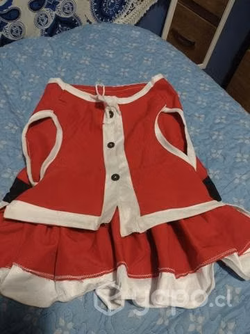Vestido pascuera perro